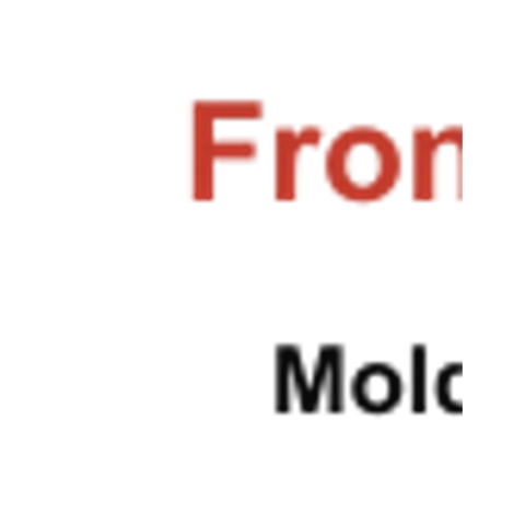 mold removal Englewood