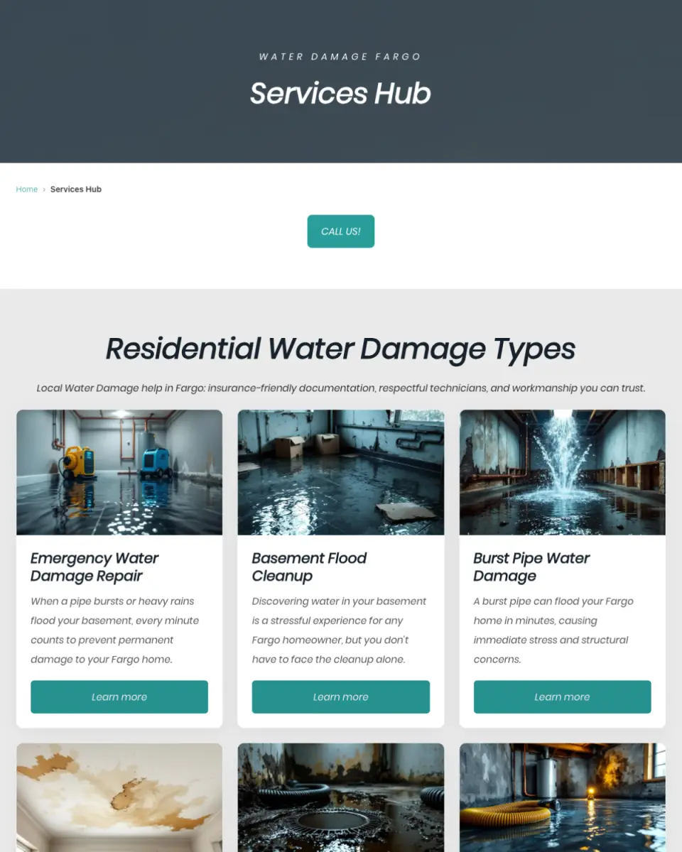 mold removal Lakewood