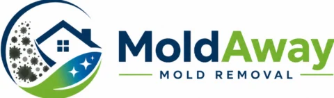 mold removal Welby